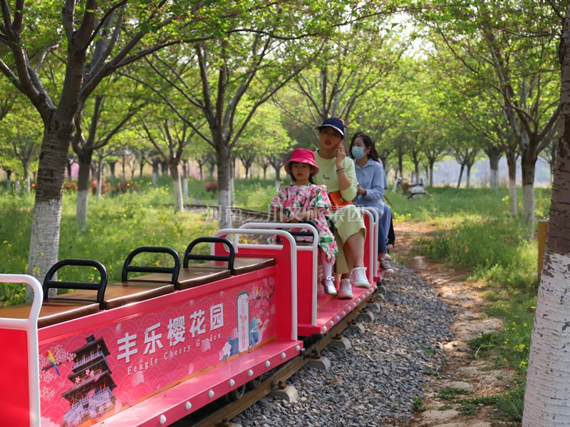 迷你蒸汽小火車(chē)還適合景區(qū)投資嗎？