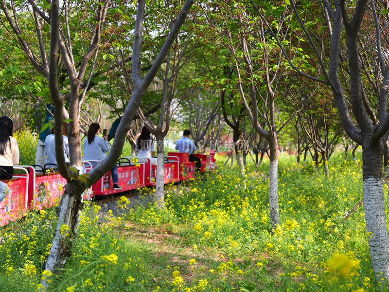 投資旅游景點小火車項目怎么樣