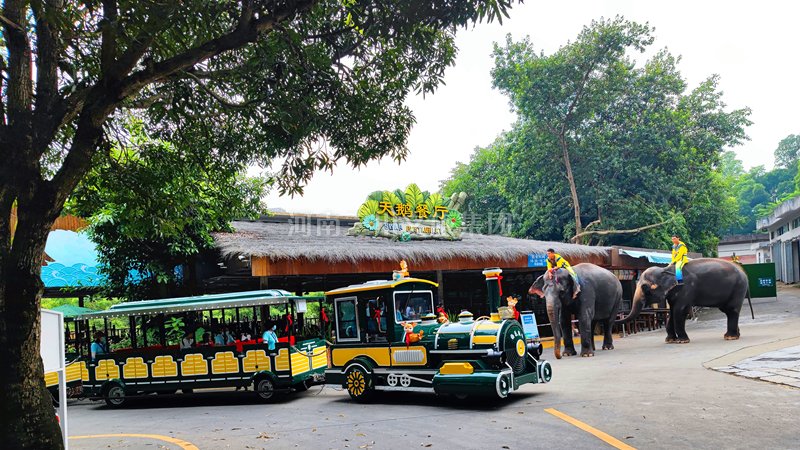 旅游景區(qū)無(wú)軌小火車行業(yè)的發(fā)展前景和趨勢(shì)