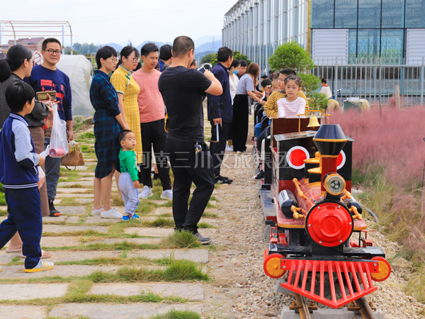 軌道觀光小火車,景區(qū)軌道觀光小火車廠家,新型軌道觀光小火車價(jià)格